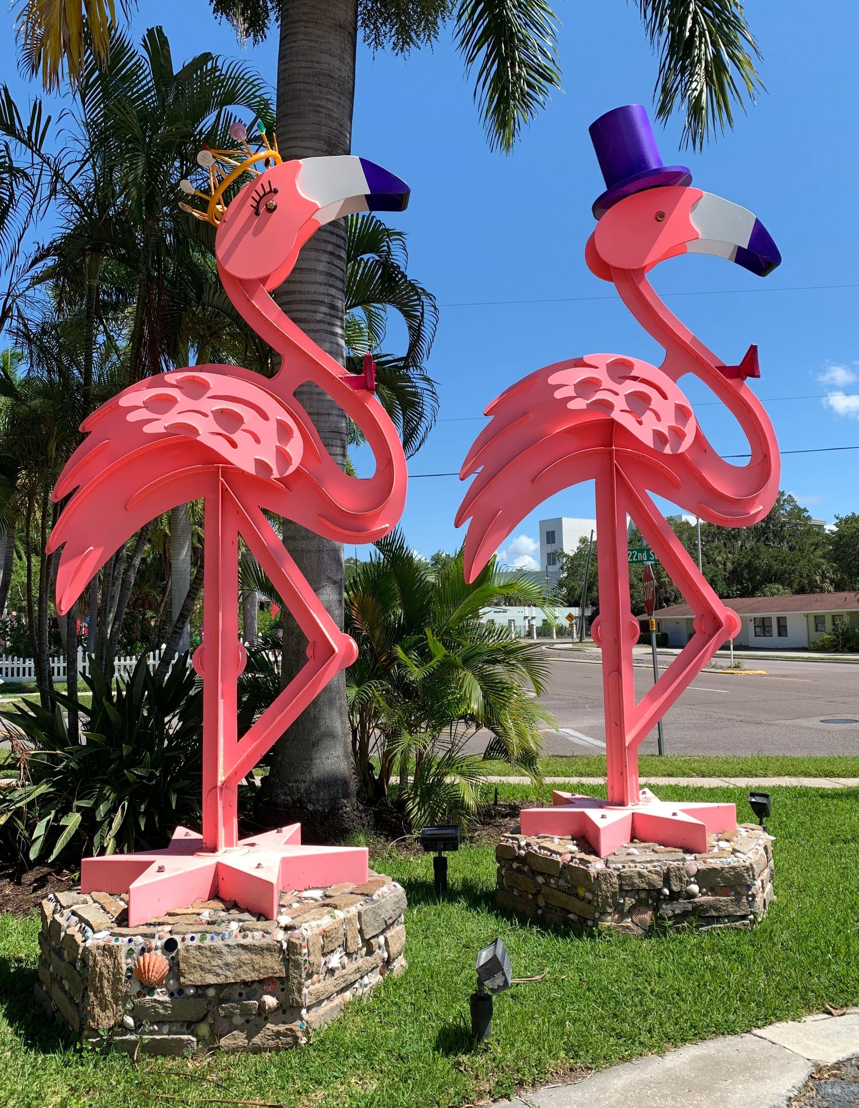 Fred Prescott's Flamingos On The Lookout